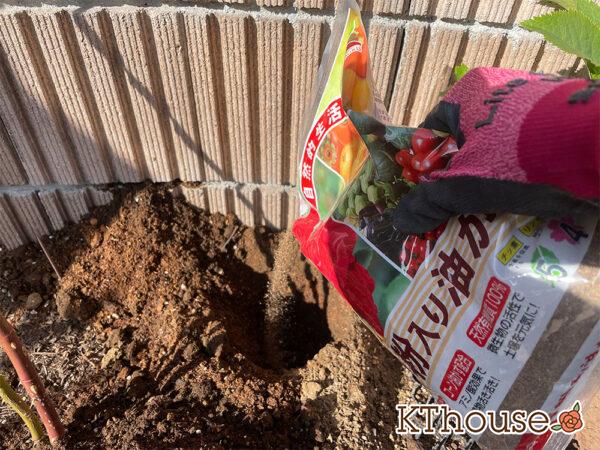 シュラブローズ・バラ「クリスティアーナ 寒肥 骨粉入り油かす(christiana)」2024/1/19