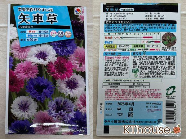 矢車草（八重咲混合）