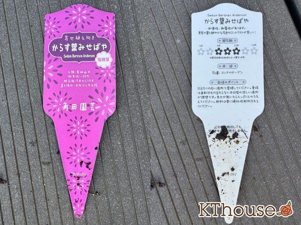 からす葉みせばや