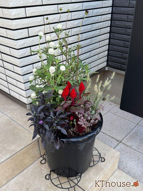 寄せ植え 20250907