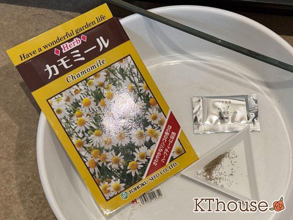カモミールの種まき 2025/9/9