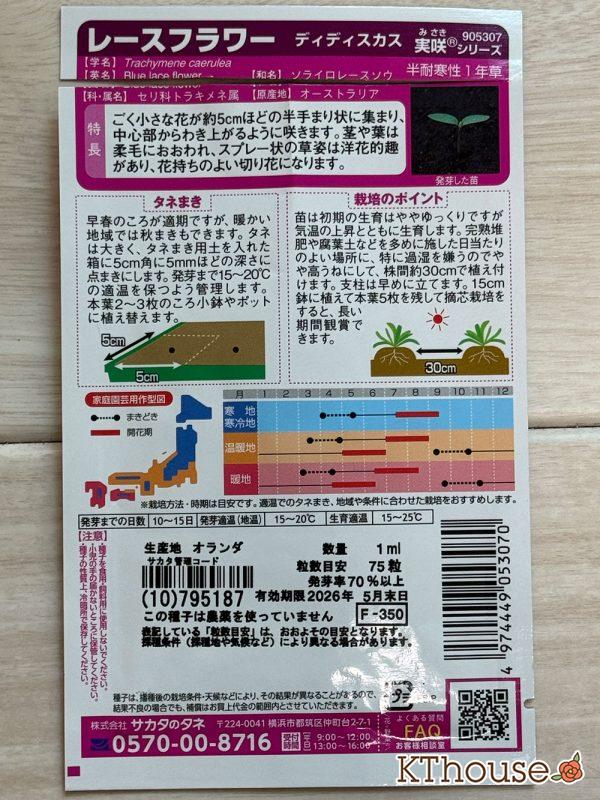 レースフラワー(ディディスカス)のタネ