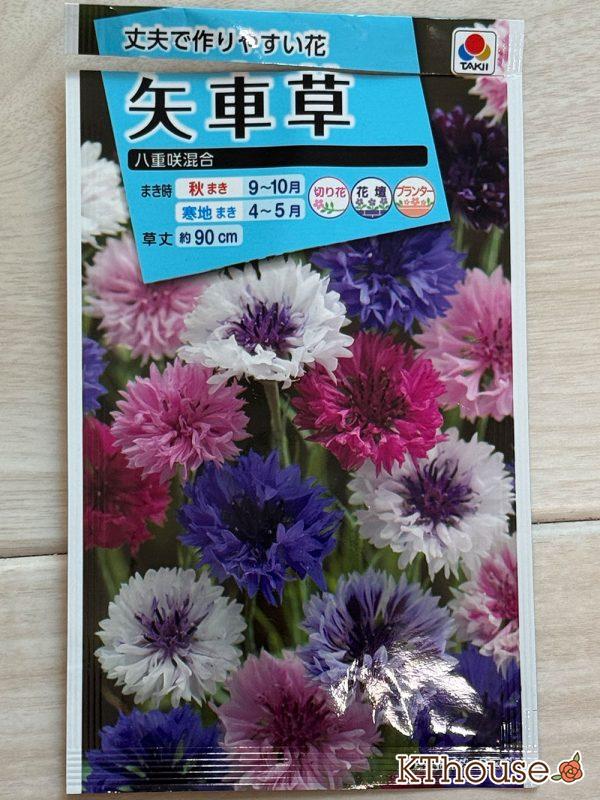 ヤグルマソウ(矢車草)の種