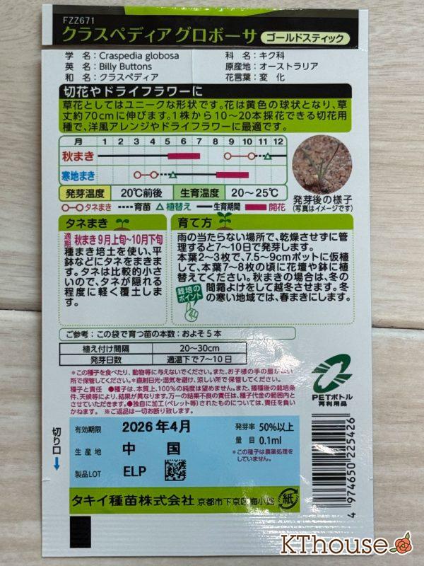 クラスペディア グロボーサの種