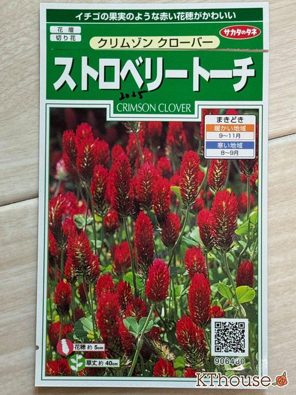 ストロベリートーチ(クリムゾンクローバー)の種まき 2025