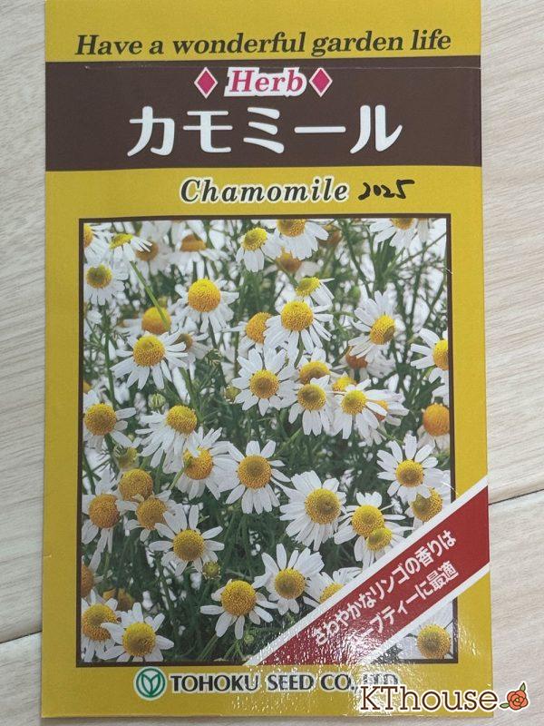カモミールの種