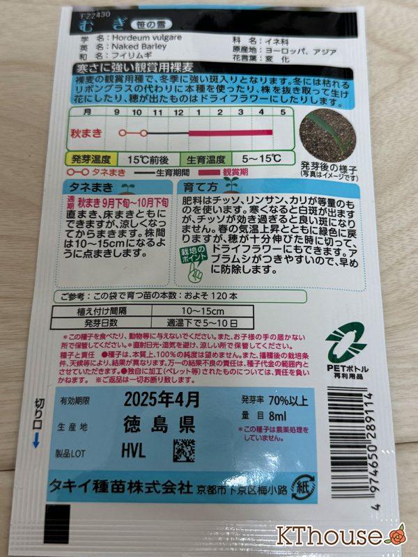 観賞用むぎ 笹の雪の種