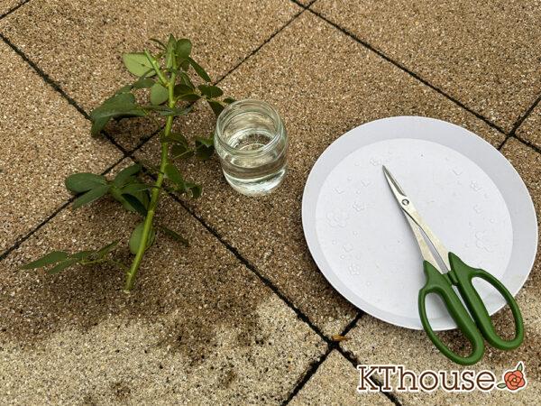 挿し木・挿し芽するのに用意するもの(コップや花瓶・水受けトレー・ハサミ)