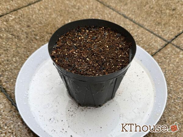 挿し芽専用土・スリッド鉢・水受けトレー