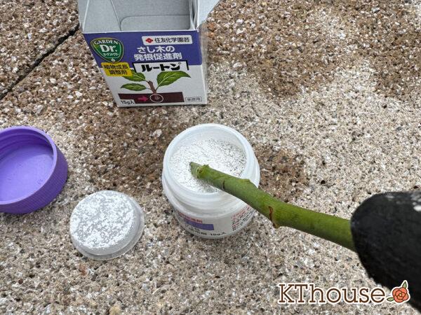 発根促進剤(ルートン)