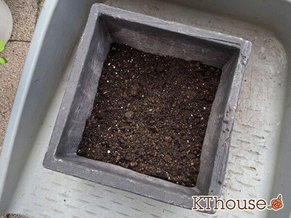 黒のスクエア鉢