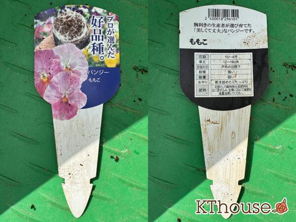 パンジー ももこ 2025/10/28