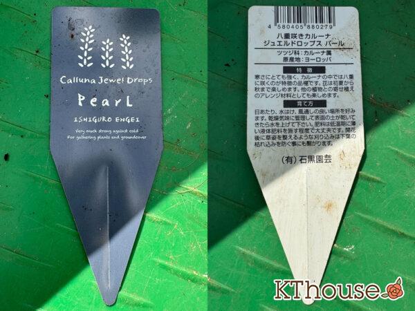 八重咲きカルーナ ジュエルドロップス パール 2025/10/28