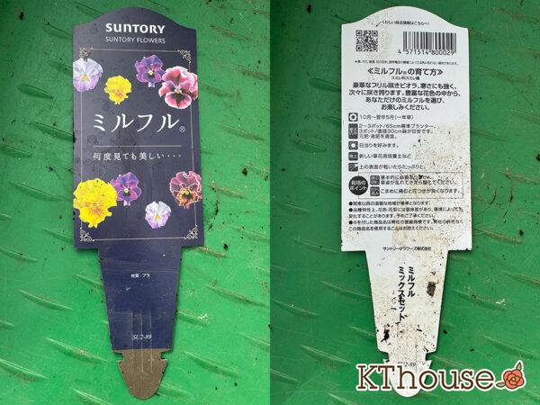 Suntory フリル咲きビオラ ミルフル 2025/10/28