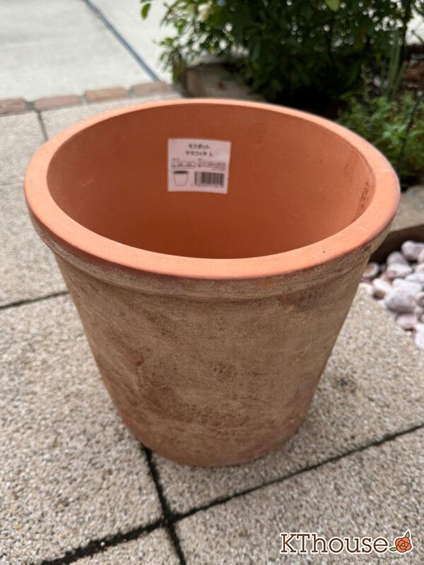 モスポット テラコッタL 2025/11/6