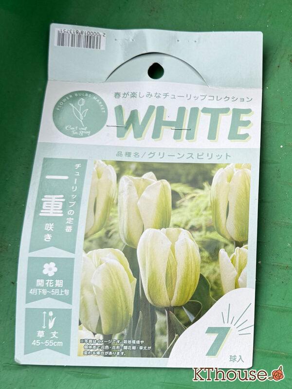 チューリップ グリーンスピリット 7球 2025/11/6