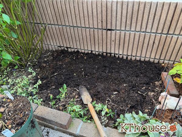 ユリ 植える場所・花壇 2025/11/8